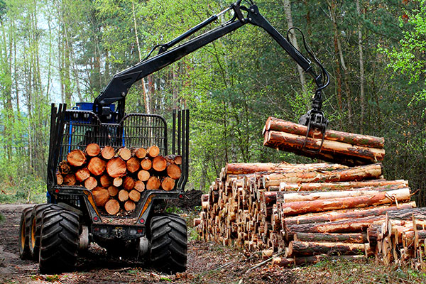 Market-Forestry